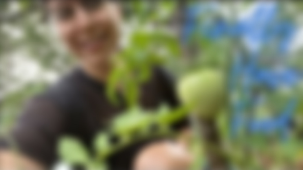4th Gardening Vlog We HAVE FOOD OMG