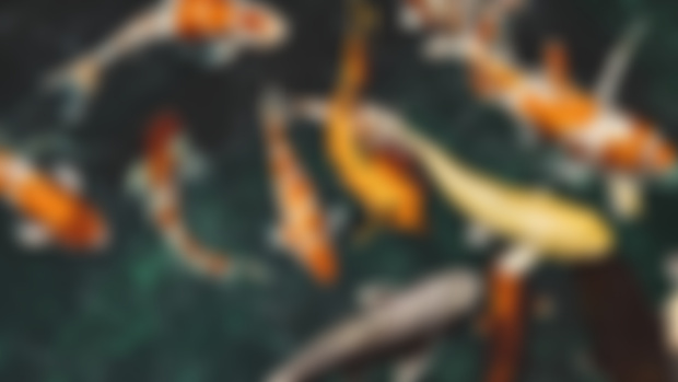Curious Glimmers (digital painting)