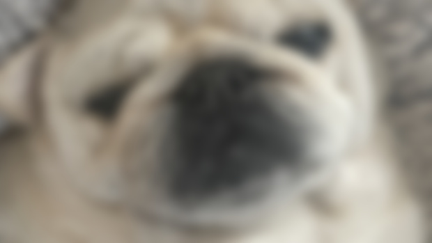 Also