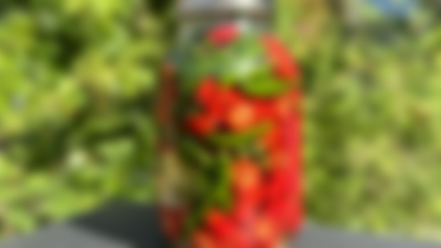 Fermented Chili Sauce