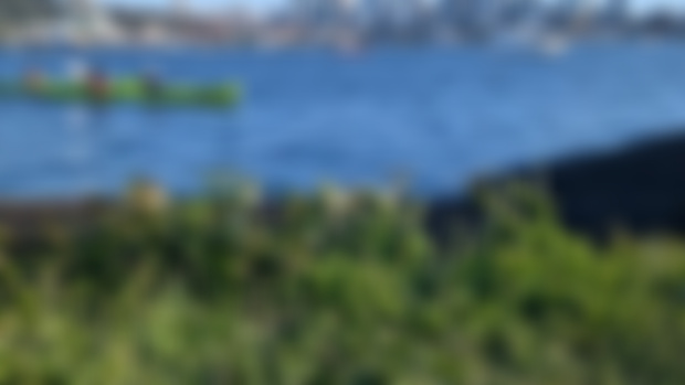 Gasworks park Seattle!