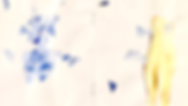 Picturing Kintsugi