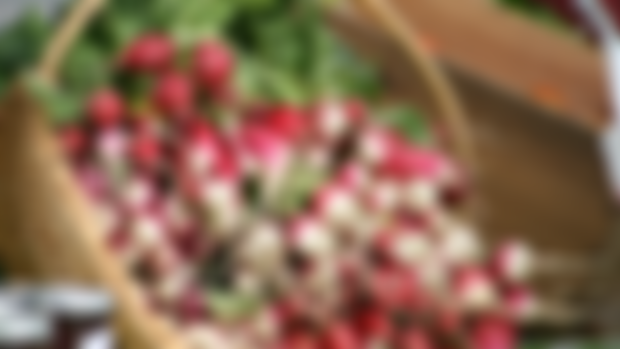 Basket of Radishes_Notecard