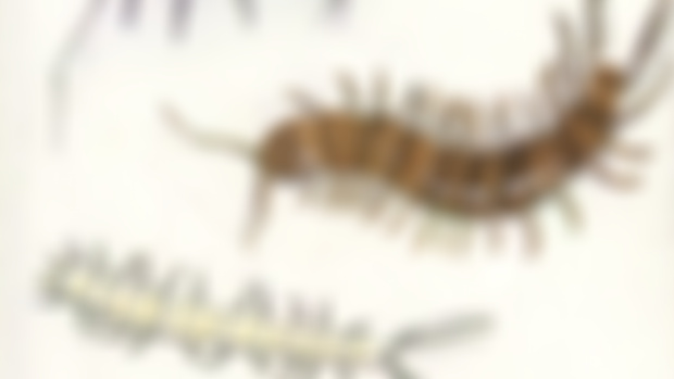 Insert An Invert 2024 Art Update