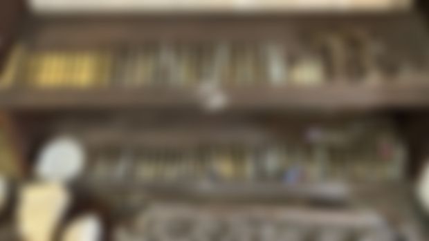 What Remains - Treasures We’ve Found in Lynnewood Hall 