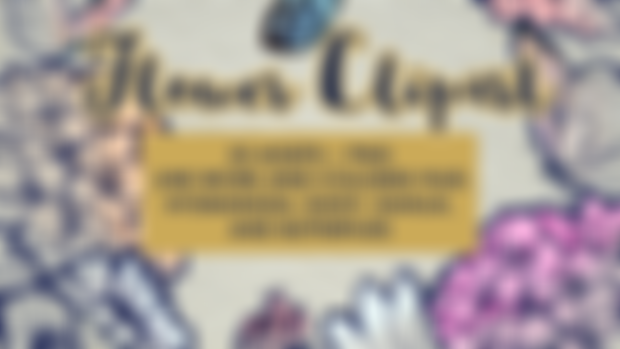FREEBIE: Flower and Butterflies Clip Art
