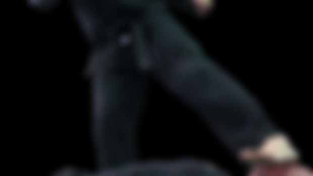 Master Dog PREVIEW