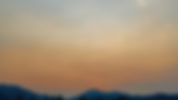 The sunset 