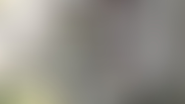 Dom Teaser 