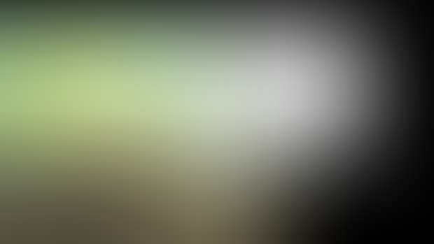 chapter 9 [Accursed Island] (LIGHT STICK CENSORED)