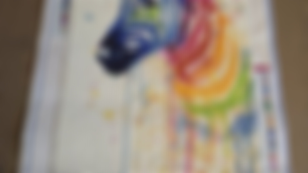 Rainbow zebra