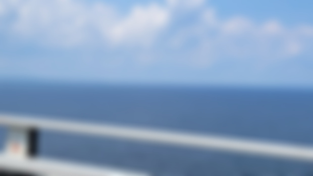 I went to the beach.