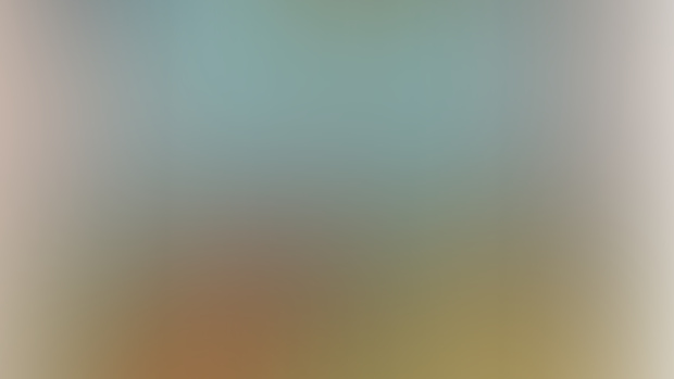What do you want to see? 