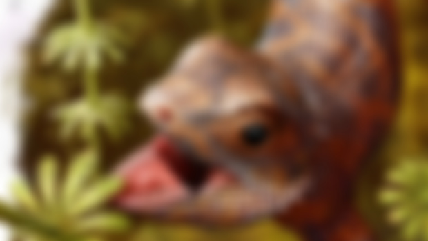 Sketches for Bolosaurus