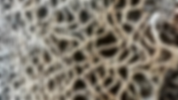 Anatomy🫧OUT&ABOUT | Nature's Patterns 