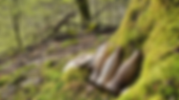 Another photo pack