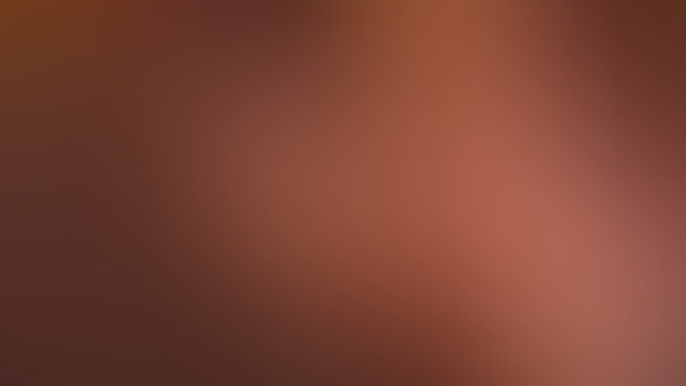 Update on the next animation