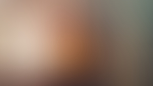 PREVIEW: of the image before animations