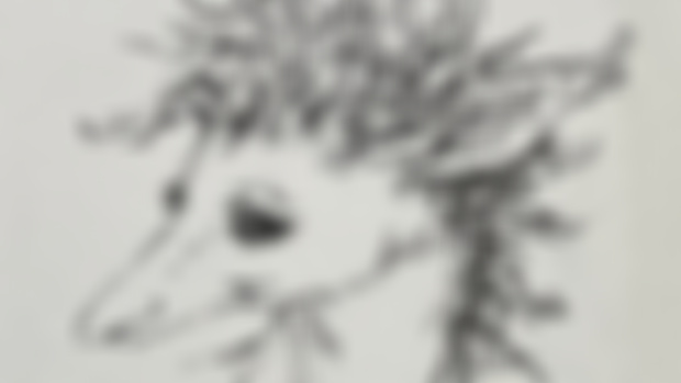 Sketchbook // why the long face