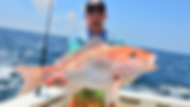 Offshore Fishing! 