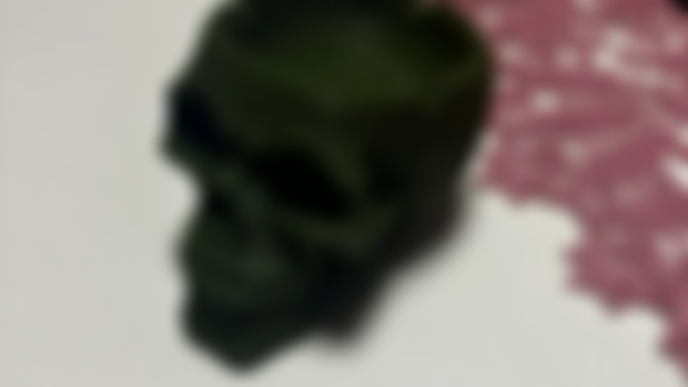 Skull