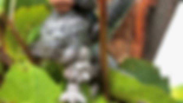 🌟 Release Announcement: The Majestic Gryphon Takes Flight! 🦅🦁