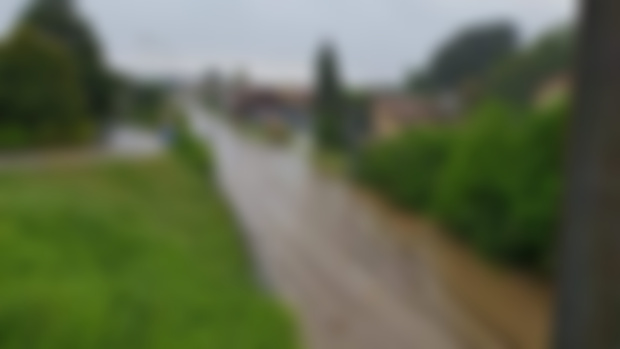 Momenti di prima vita