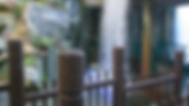 Beautiful Falls at Disneyland Hotel