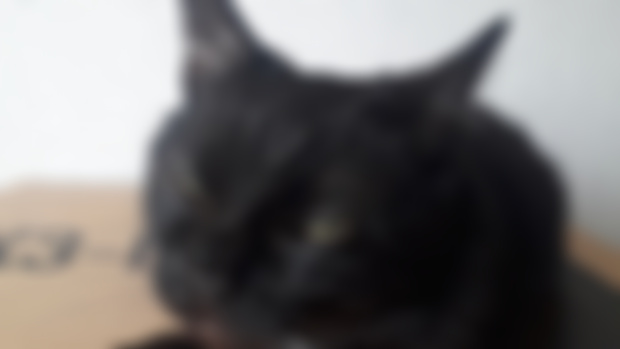 Мур
