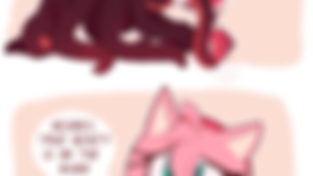Squid 