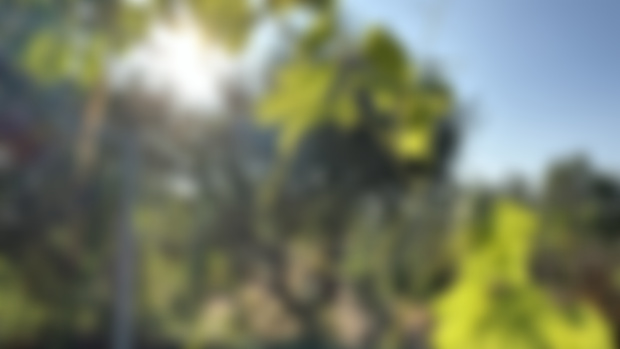 Update from the farm!