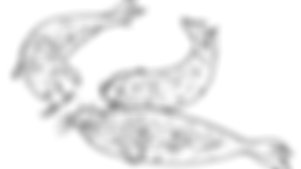 Coloring Pages