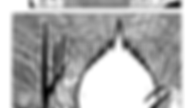 DRAGON BALL HAKAI CHAPTER 37 (NEW PAGES)