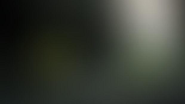 ✅[GIVEAWAY POSTER] Zeraora sheltered from bad weather