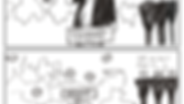 Political Cartoons