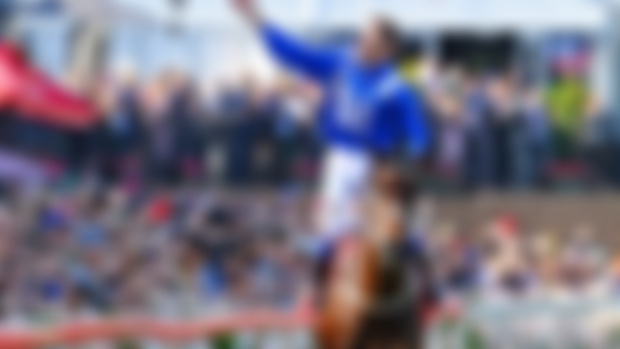A Horse Named Winx