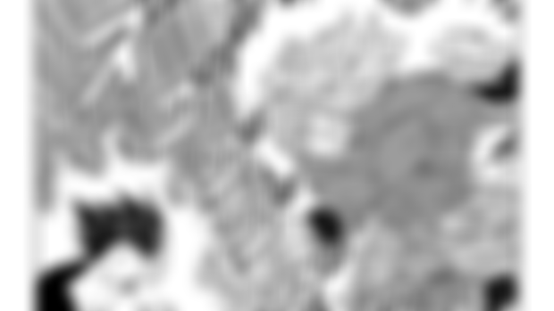 DRAGON BALL HAKAI CHAPTER 37 (COMPLETE IN ENGLISH)