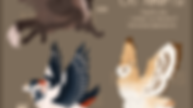 Art Dump | Character Adopts and animation WIPs