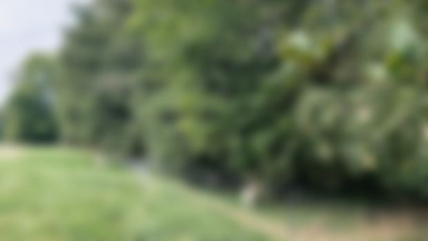 Landschaftspflege mit Ziegen