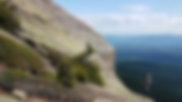 Proper but puckering adventure 