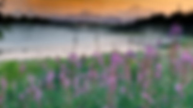 EPITOME OF ALASKA