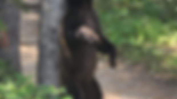 69 (Dude) - September 2024 - Six Bears and a Sunrise