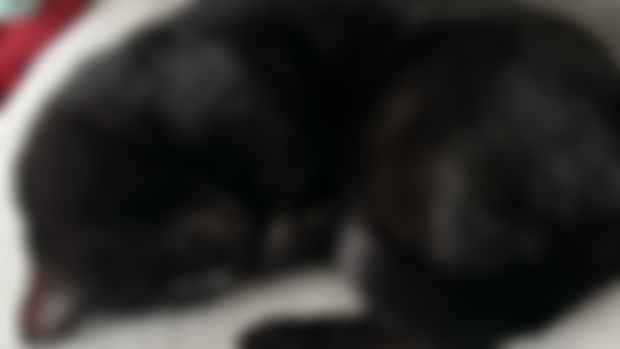 Thanks from the fuzzballs