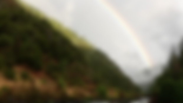 The Rogue River and Return of Monthly Recommendations--- August 2024 Updates!