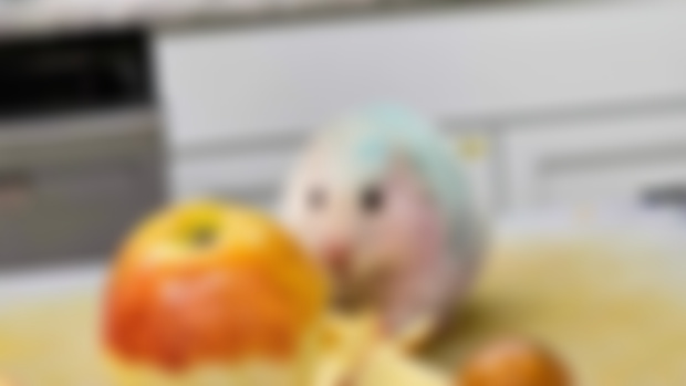 Bonus Pictures