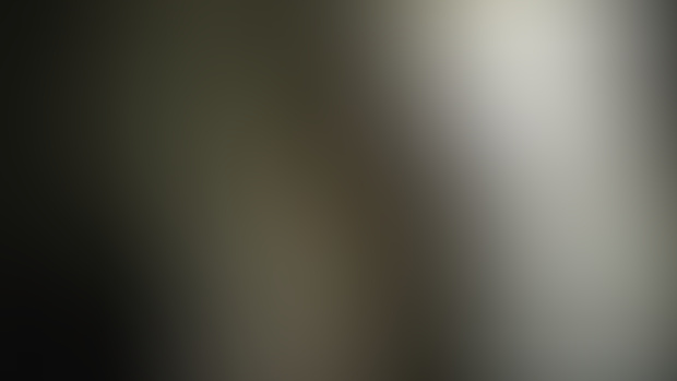shutter