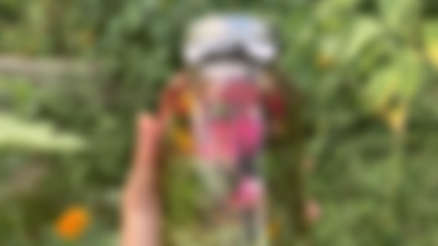 Florida Water- diy at home herbcrafting! 🌸💦