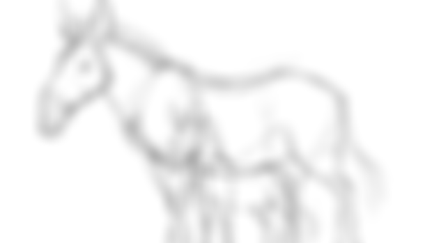 Proboscidipparion mare and foal - sketch