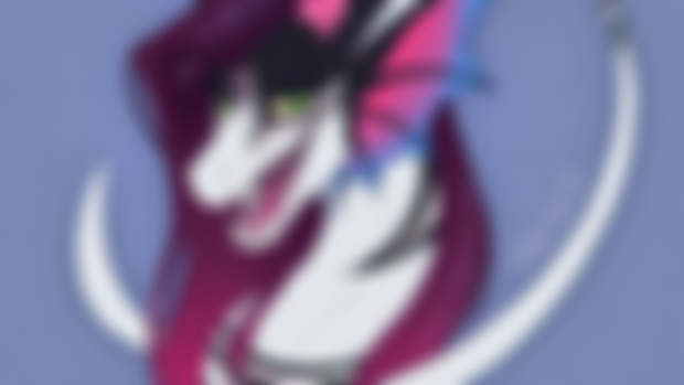 Headshots for Neffertity