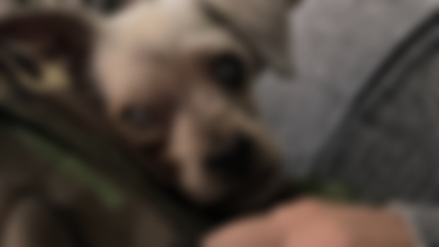 Maxi here… 